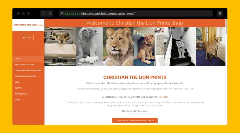 Christian the Lion