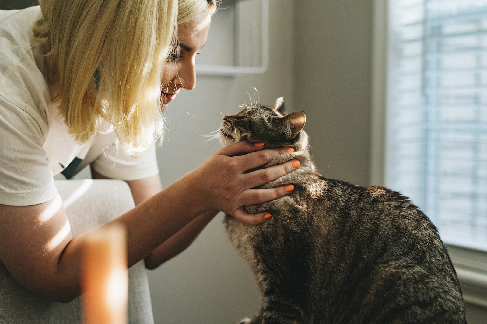 Veterinário atendendo animal de estimação